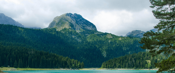 Traghetti Ancona – Bar